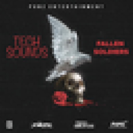 Fallen Soldiers | Boomplay Music