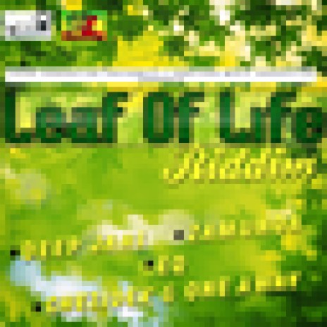 Leaf of Life Riddim Instrumental ft. Y.G.F