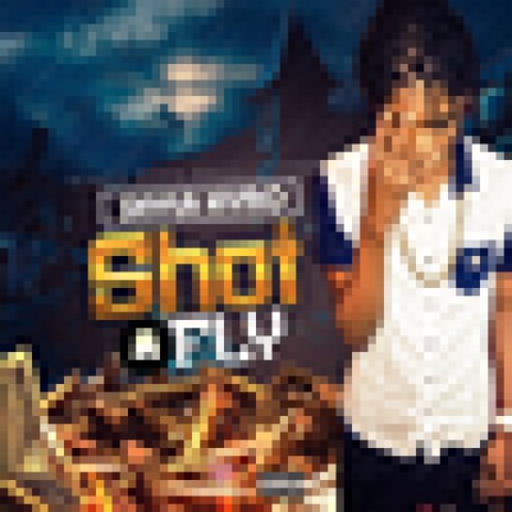 Shot A Fly | Boomplay Music