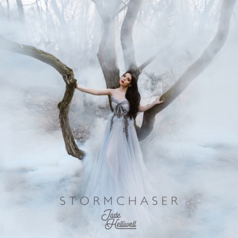 Stormchaser | Boomplay Music