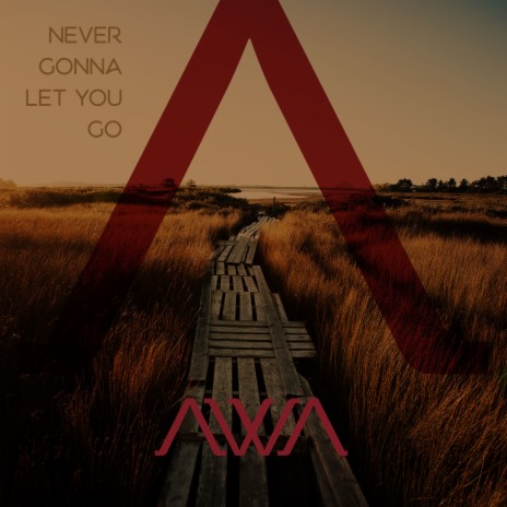 Never Gonna Let You Go | Boomplay Music