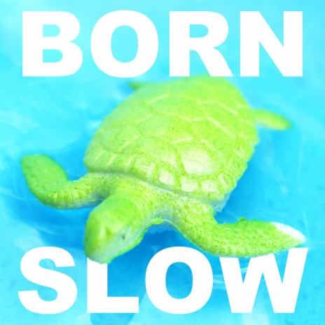 Born Slow ft. Sumitt | Boomplay Music