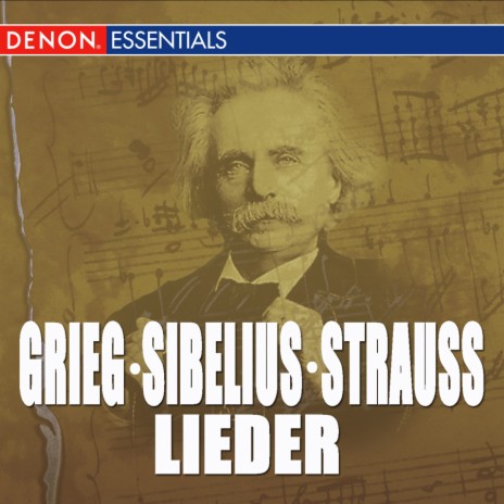 Lieder No. 4, Op. 18: Autumn Storms ft. Berlin Symphony Orchestra | Boomplay Music