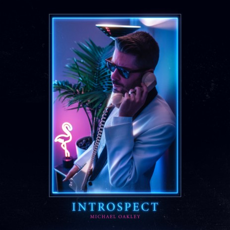 Introspect | Boomplay Music