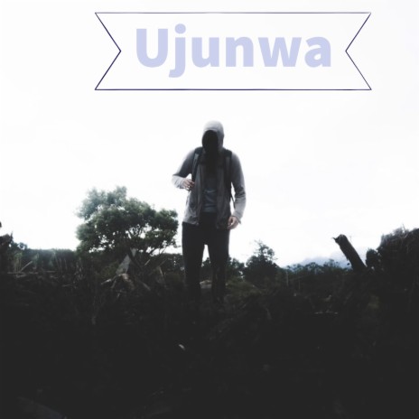 Ujunwa | Boomplay Music