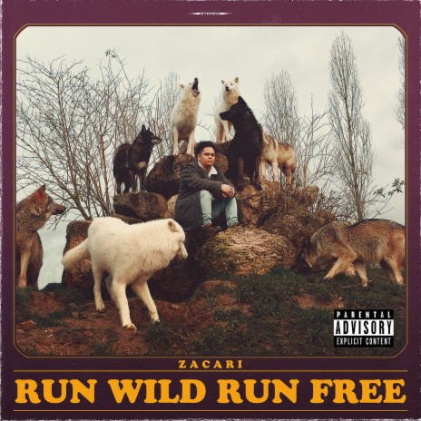 Run Wild Run Free | Boomplay Music