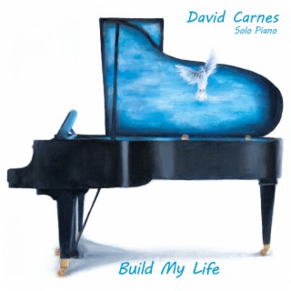 Build My Life