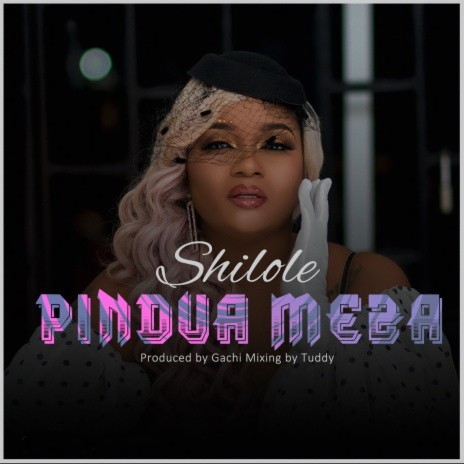 Pindua Meza | Boomplay Music