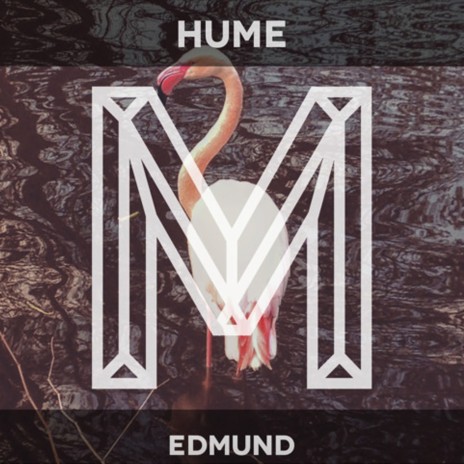 Edmund (Original Mix) | Boomplay Music