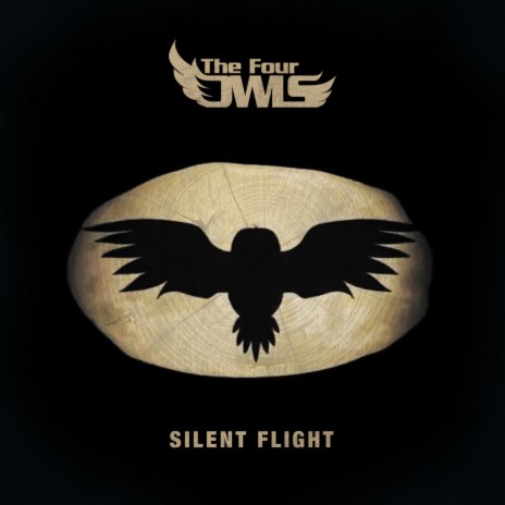 Silent Flight | Boomplay Music