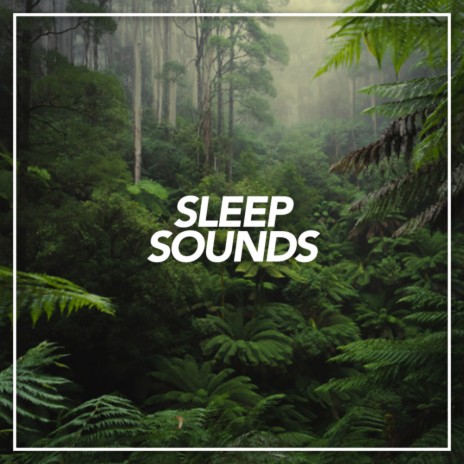 Tropical Sounds (Original Mix)