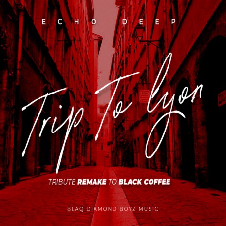 TRIP TO LYON (Tribute Remake To Black Coffee) | Boomplay Music