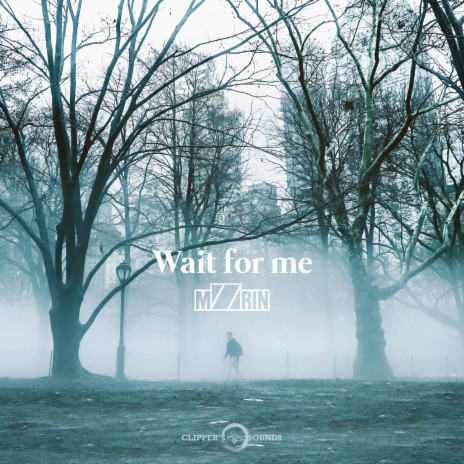 Wait for Me (Radio Edit) | Boomplay Music