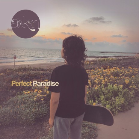 Perfect Paradise | Boomplay Music