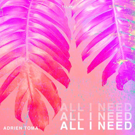 All I Need | Boomplay Music