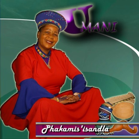 Phakamis' Isandla | Boomplay Music