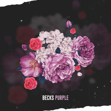 Purple | Boomplay Music