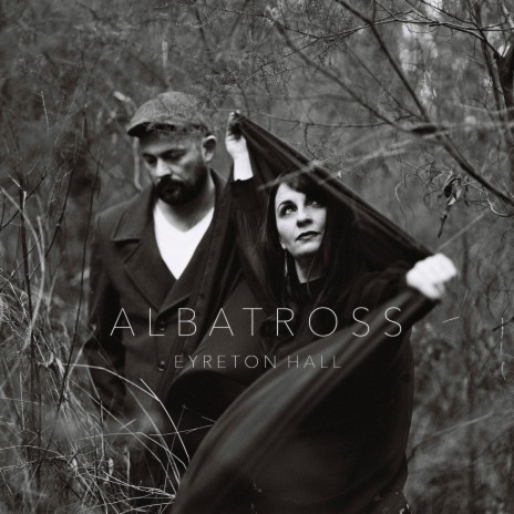 Albatross | Boomplay Music