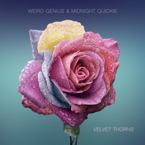 Velvet Thorns ft. Midnight Quickie, Rapyourbae, Eka Gustiwana, Billy Taner, Irsan & Charita Utami | Boomplay Music