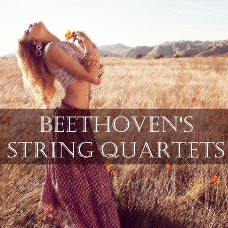 String Quartet No. 4 in C Minor, Op. 18 No. 4: IV. Allegro | Boomplay Music