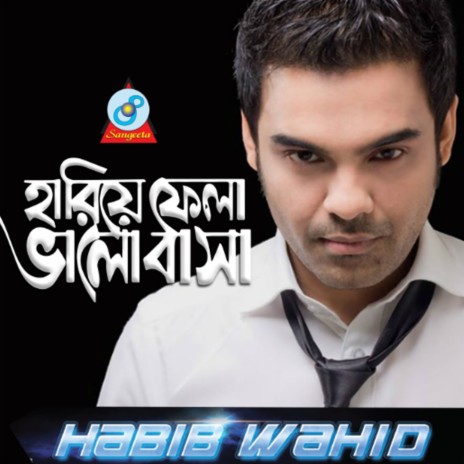 Hariye Fela Bhalobasha | Boomplay Music