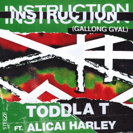 Instruction (Gallong Gyal) ft. Alicai Harley | Boomplay Music