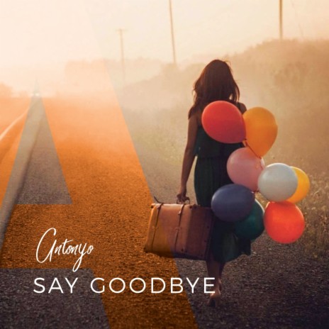 Say Goodbye (Radio Edit) | Boomplay Music