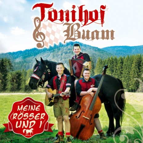 Wirtshaus Boarischer | Boomplay Music