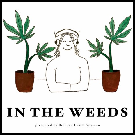 download vox weeds