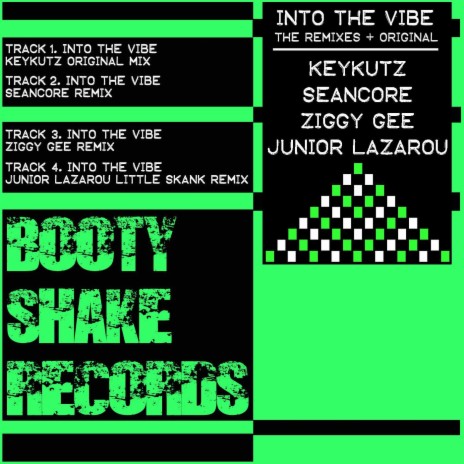 Into The Vibe v (Junior Lazarou Little Skank Remix) | Boomplay Music