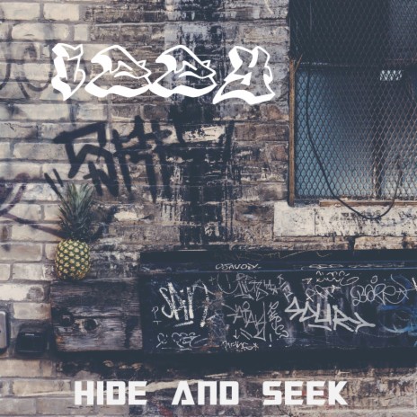 Hide And Seek | Boomplay Music