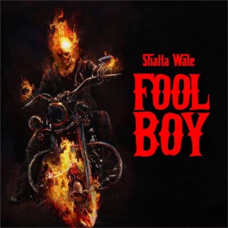 Fool Boy | Boomplay Music