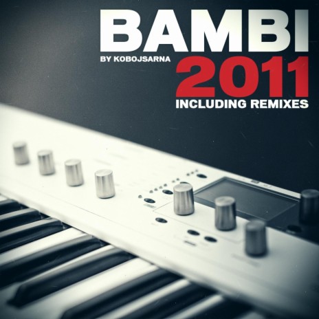 Bambi 2011 (Chris Delay & Junior Remix - Extended Edit) | Boomplay Music