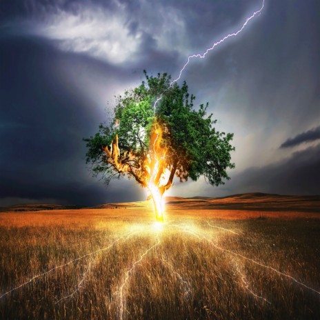 Lightning Tree