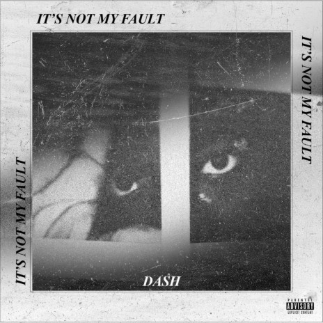 It's Not My Fault | Boomplay Music