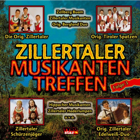 Tiroler Lieder, Tiroler Klänge | Boomplay Music