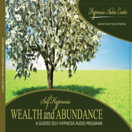 Wealth and Abundance - Guided Self-Hypnosis | Boomplay Music