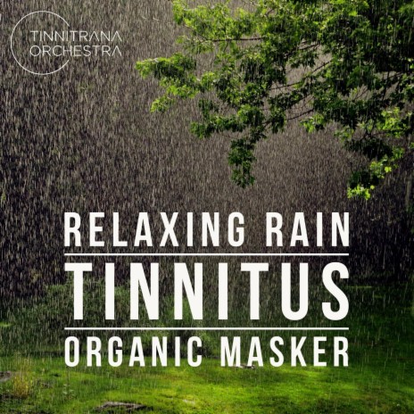 Relaxing Rain Soundscape Three