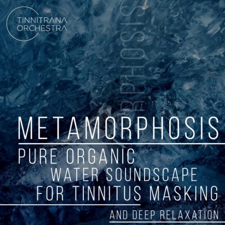 Metamorphosis Chapter One | Boomplay Music