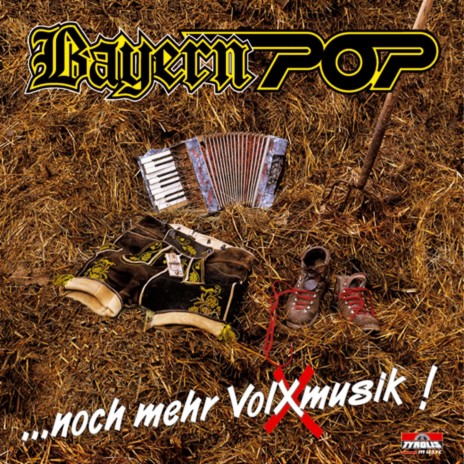 Rock 'n' Roll und Volxmusik