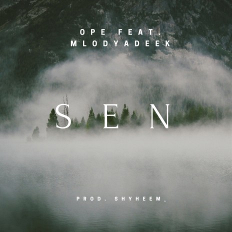 Sen (prod. Shyheem_) ft. MlodyAdeek | Boomplay Music