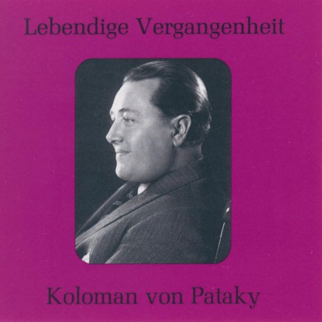Nur ihrem Frieden (Don Giovanni) ft. Koloman von Pataky