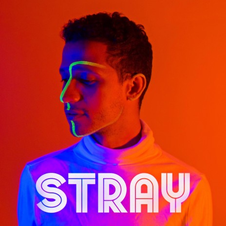 Stray | Boomplay Music