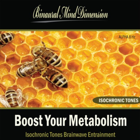 Boost Your Metabolism: Isochronic Tones Brainwave Entrainment | Boomplay Music
