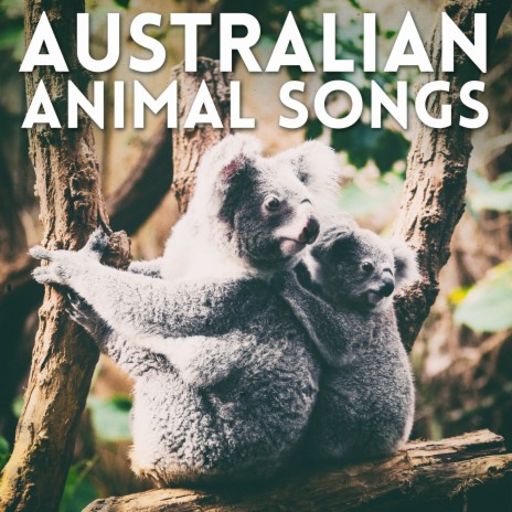 Dig Dig Dig Like A Wombat ft. The Wayfarers, Caswell D & Spencer D | Boomplay Music