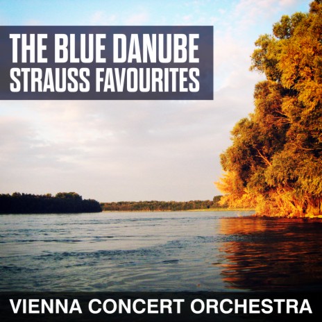 The Blue Danube | Boomplay Music