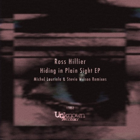 Hiding In Plain Sight (Michel Lauriola Remix)