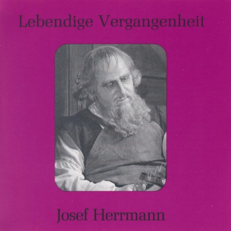 Jetzt, Alter, Alter, jetzt hat es Eile (Fidelio) ft. Josef Herrmann