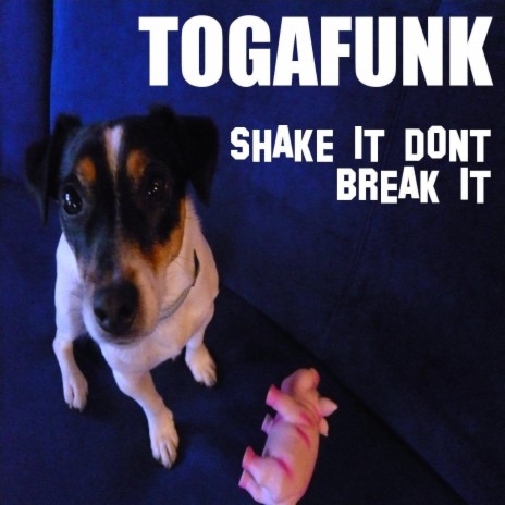 Shake it dont break it (Togafunk Club Version) | Boomplay Music
