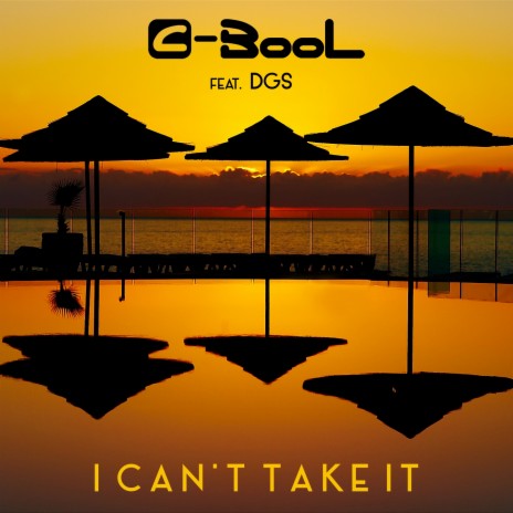 I Can't Take It ft. DGS | Boomplay Music